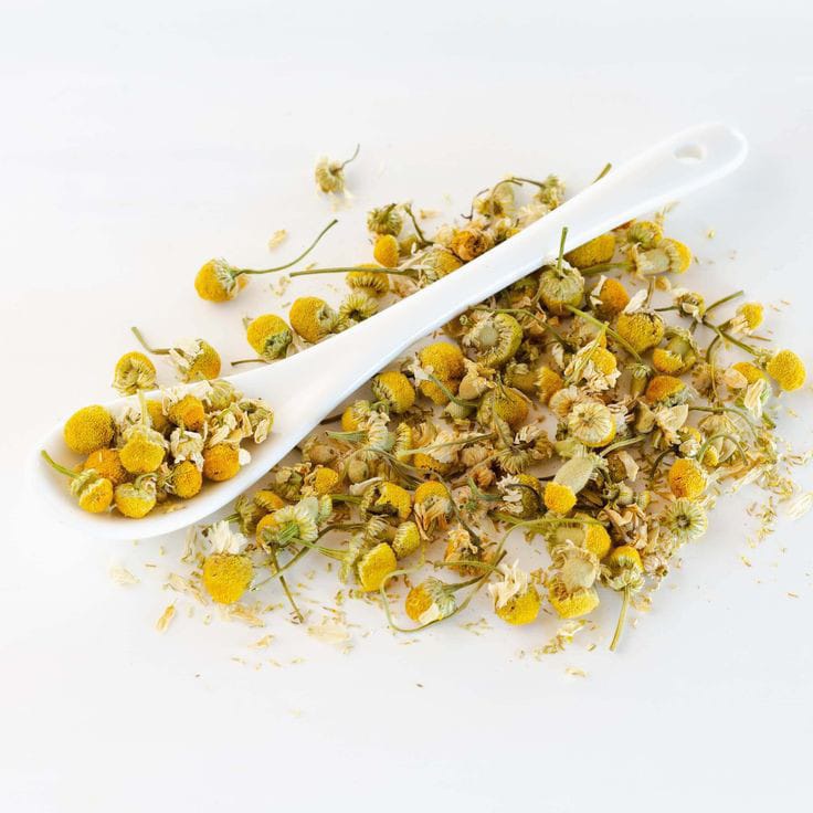 

Chamomile / Teh Bunga Camomile / Chamomile Flower Tea / Teh Bunga Kamomil / Kualitas Premium Terbaik