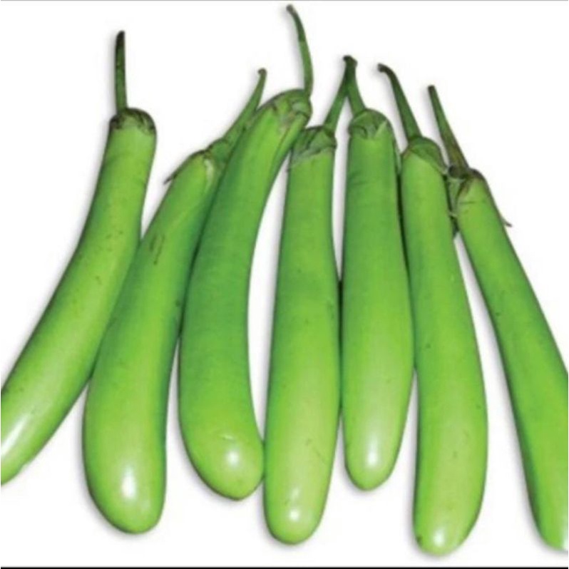 

Sayur terong ijo 500gr, terong ijo segar, terong ijo