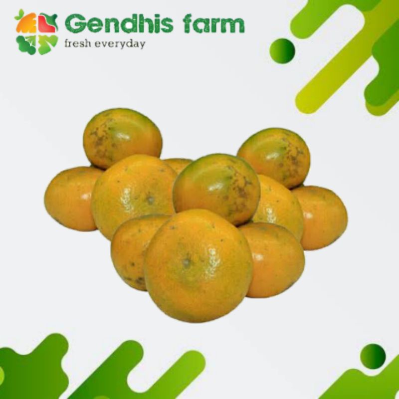 

Jeruk medan [1 kg]