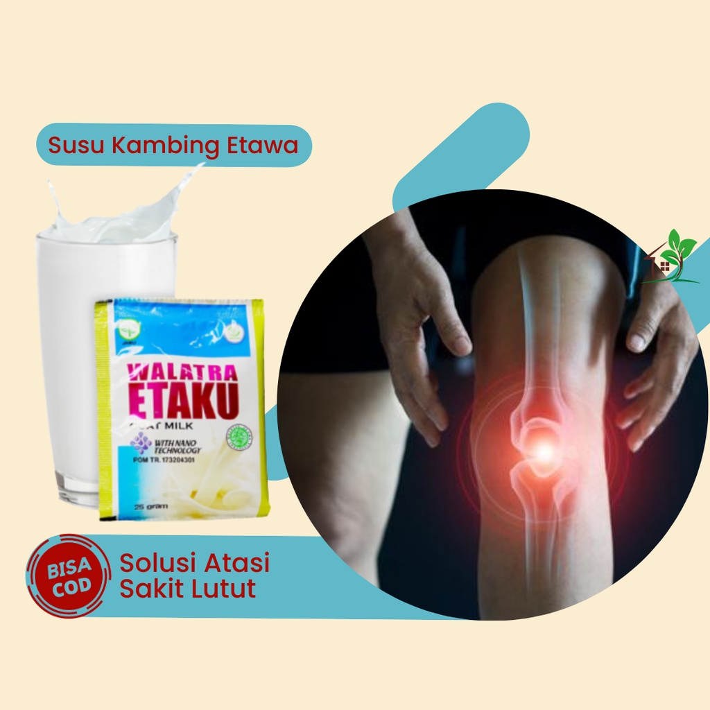 

Walatra Etaku, Susu Atasi Sakit Lutut, Susu Atasi Cedera Lutut, Susu Atasi Lutut Kopong, Susu Atasi Nyeri Lutut, Susu Atasi Nyeri Sendi Lutut, Susu Atasi Osteoporosis, Susu Atasi Pengapuran Tulang Lutut, Susu Kambing Etawa