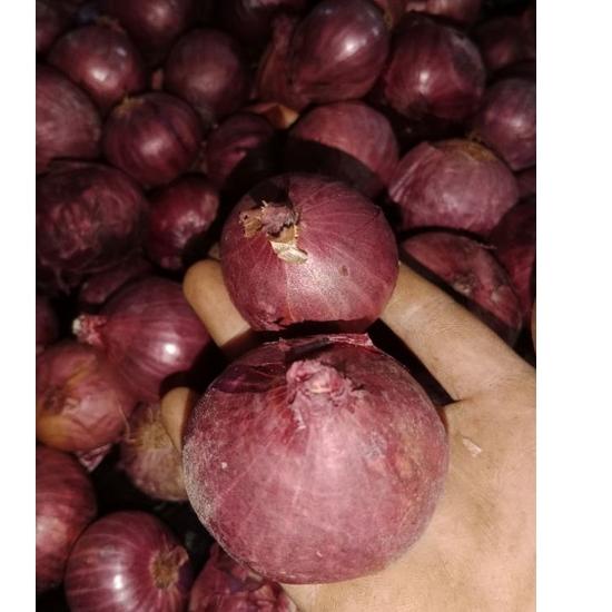 

[KODE PRODUK WQAJQ9635] BAWANG MERAH PEKING / BAWANG INDIA