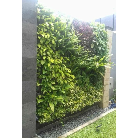 Jual Pembuatan Vertical Garden Murah Pembuatan Taman Shopee Indonesia