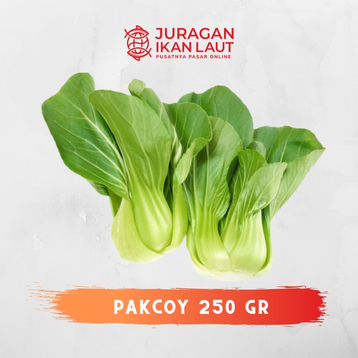 

Sawi Pakcoy Segar Fresh Berkualitas - 250 Gram