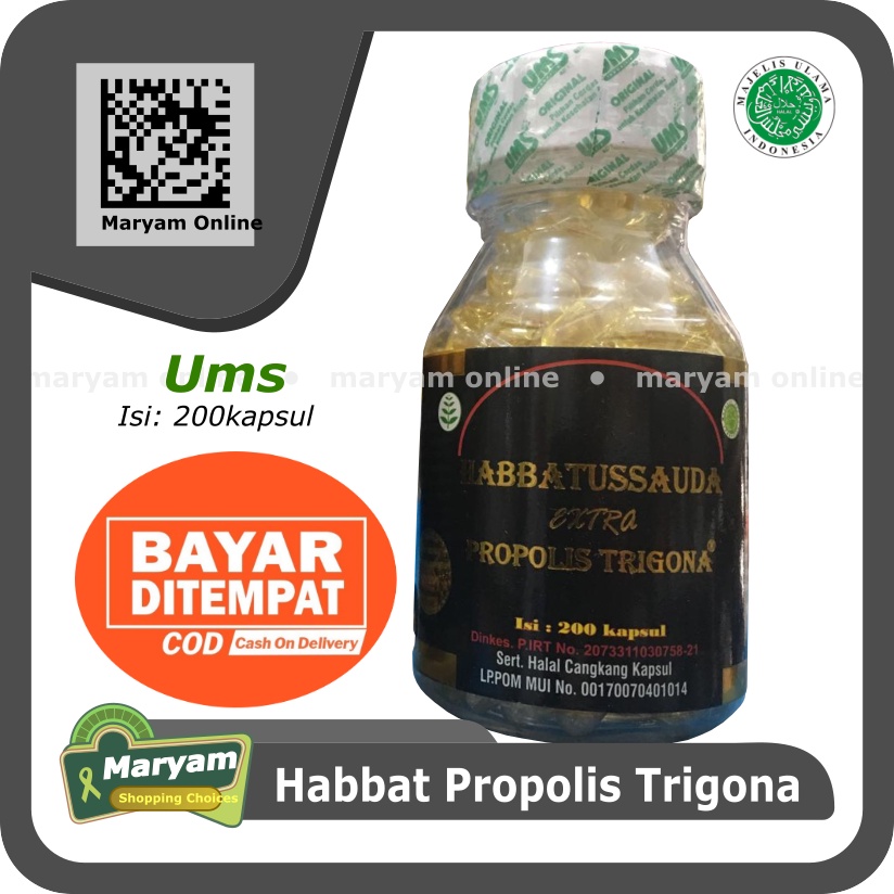 Habbatussauda Extra Propolis Trigona UMS