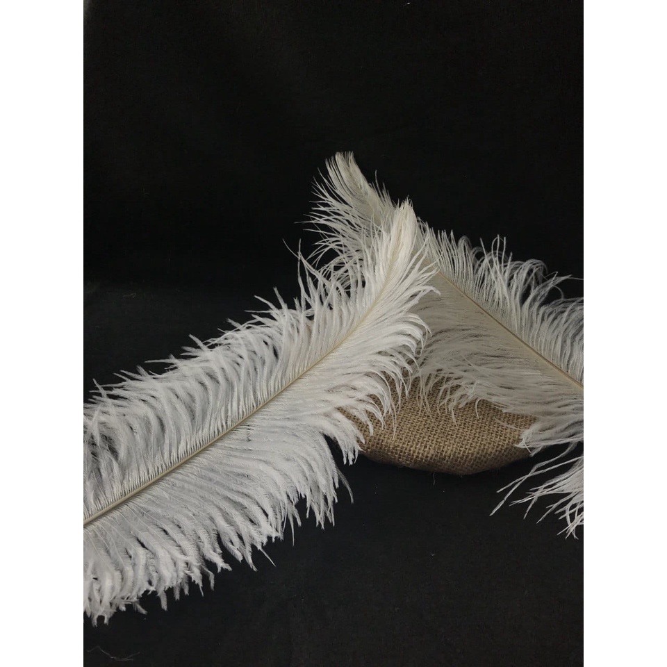 1 HELAI 15 CM - 40 CM BULU OSTRICH | DEKORASI | FASHION | HAIRPIECE