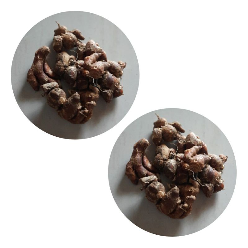 

Kencur segar 500 gram