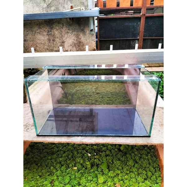 Aquarium baby Channa<aquarim arwana<aquarium kaca 40×20×20<aquarim kaca bening