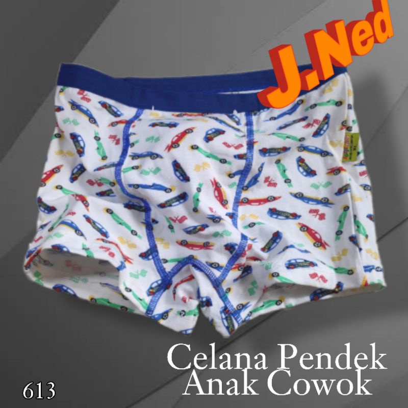 J613 CD BOXER ANAK COWOK AGREE KIDS BOXER ANAK HARGA PER 1 PCS