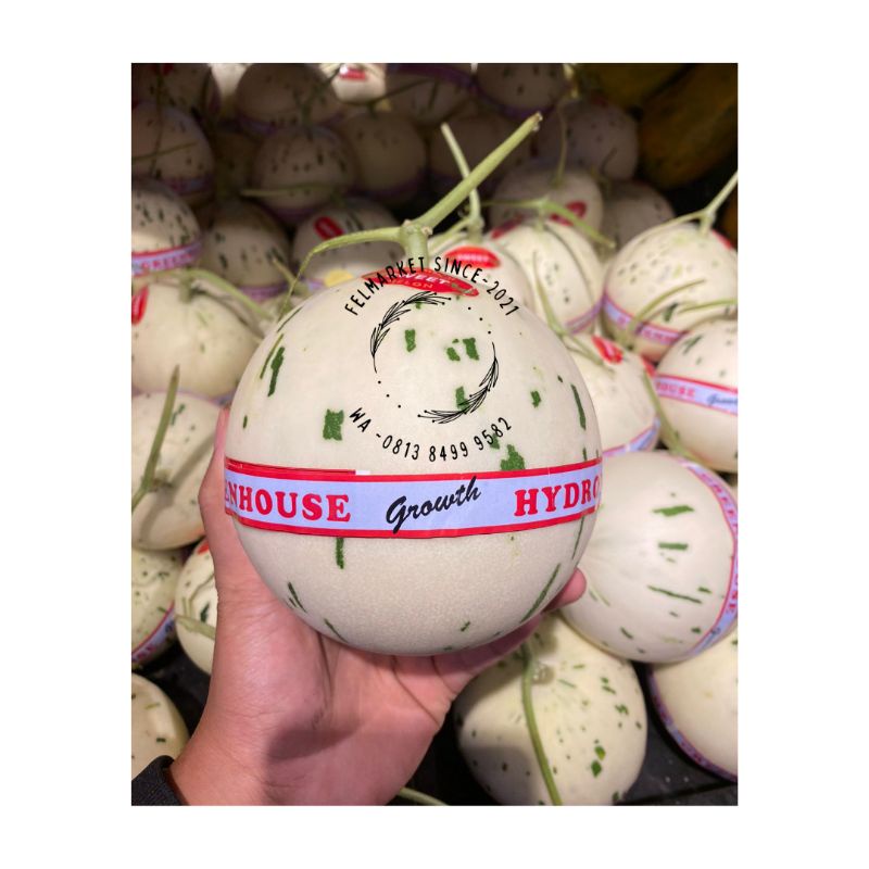 

Melon Dalmation sweet hydroponic premium 1 pcs