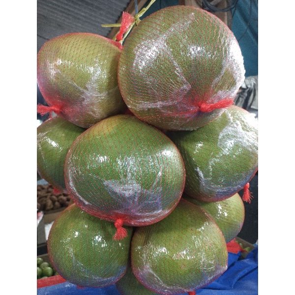 

Jeruk Pamelo Bali 1 buah Fresh asem manis