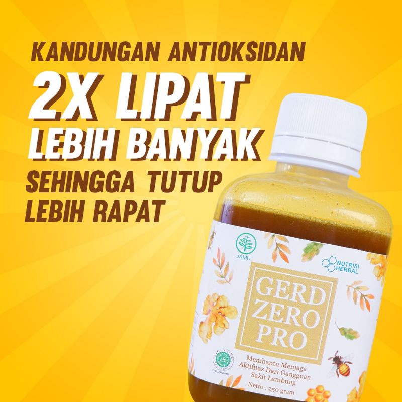 PAKET Gerd Zero Pro Beli 2 Gratis 1 Obat Asam Lambung / Madu Lambung