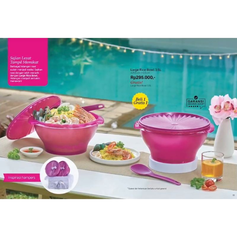 Large Rice Bowl Tupperware