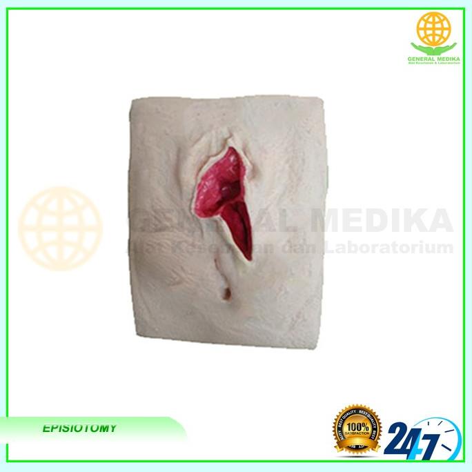 Manekin Episiotomy Model | Manikin Phantom Suture Simulasi Training