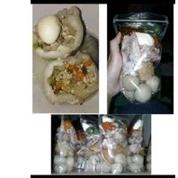 

zilok zumbo isi tetelan dan tulang rangu