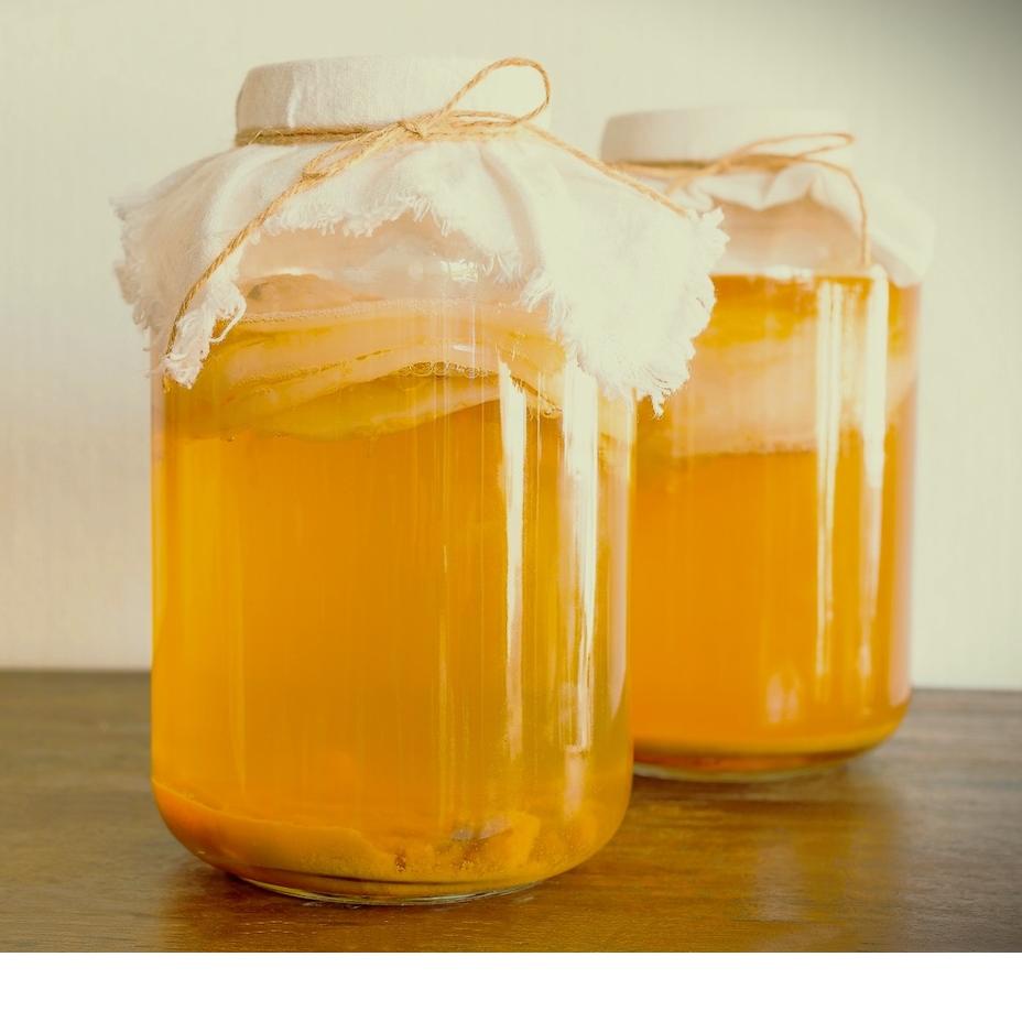 

Kirim Langsung Scoby dan Starter Kombucha / Bibit Jamur Dipo Organik T56+