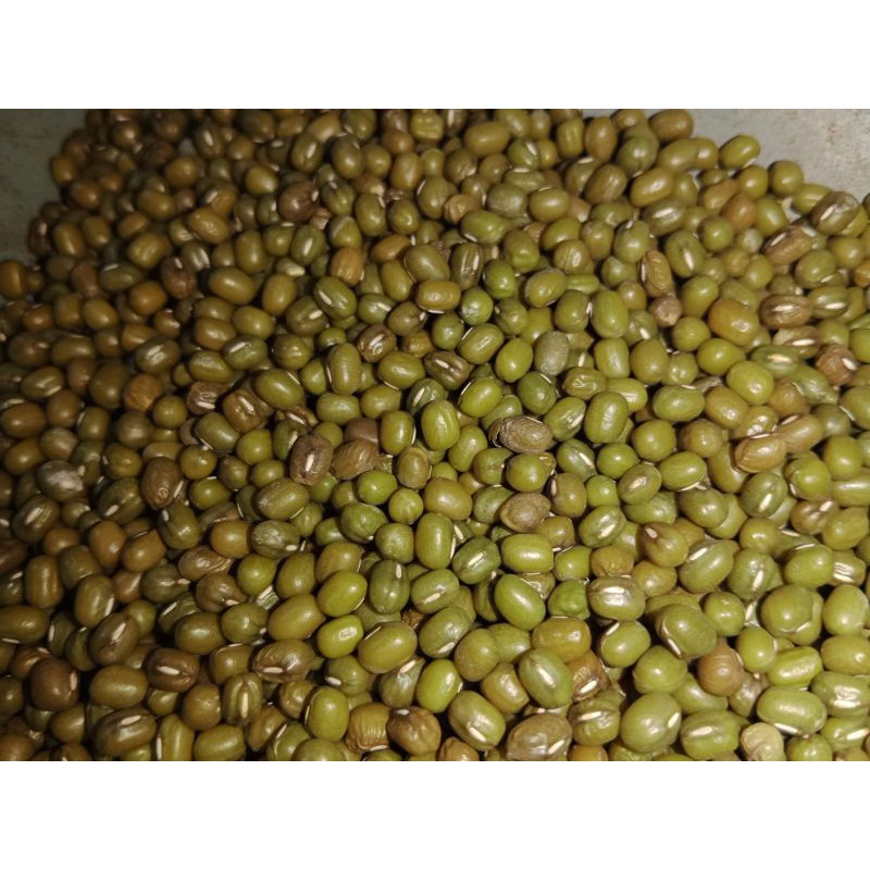 KACANG HIJAU KERING 1 KG