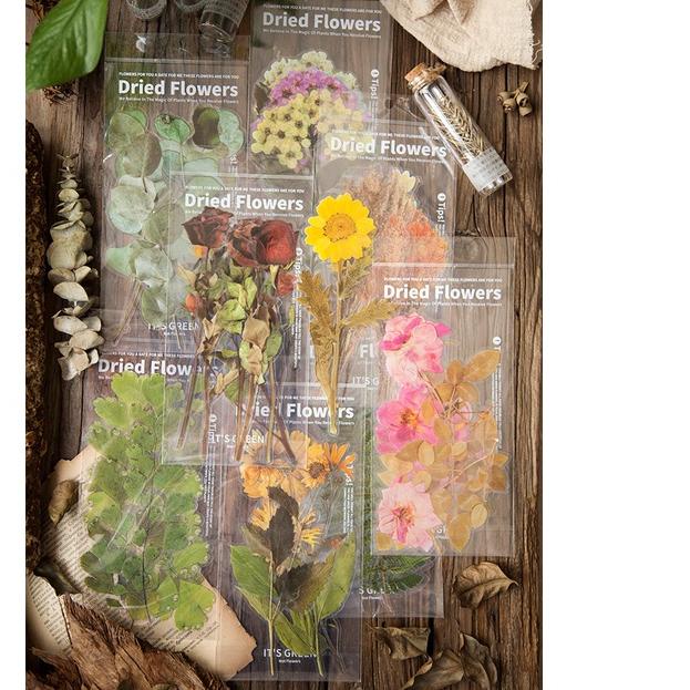 

D94⁂ Stiker Bunga Kering Sticker Pack Flowers 1 Set 6 Pcs - SP16 Serbuuu
