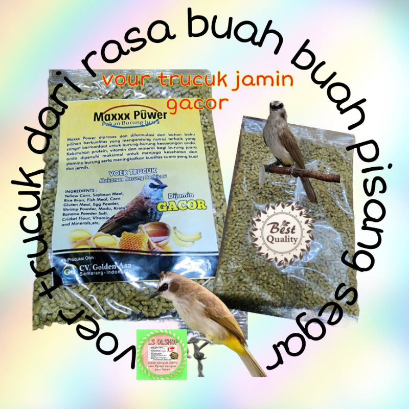 1 SASET MAXX TRUCUK pur trucuk rasa pisang pakan burung crucuk trucukan pleci ciblek kacer cucakrowo kicauan