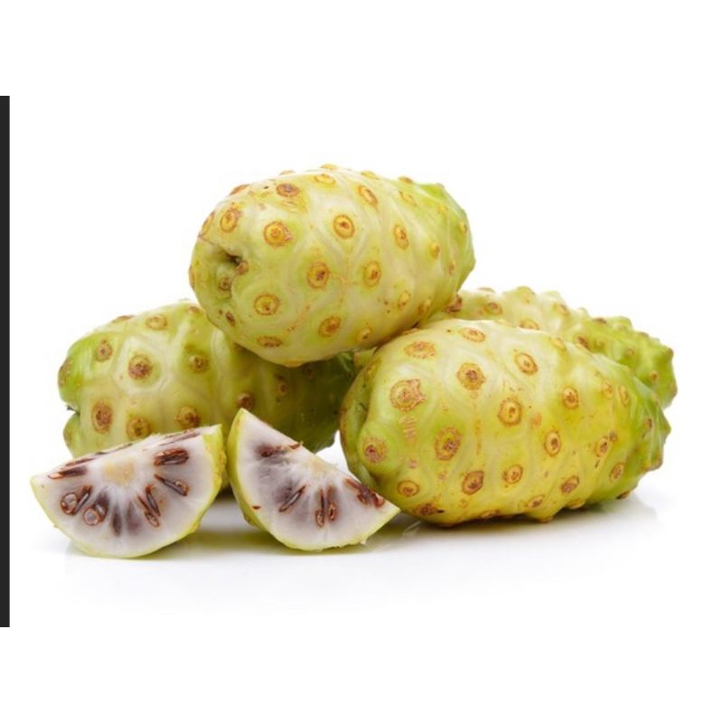 

Buah Mengkudu / Pace Segar 1 kg