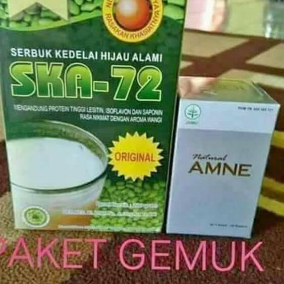 

✮ NASA PAKET PENGGEMUK BADAN HERBAL AMNE DAN SUSU SKA 72 ソ