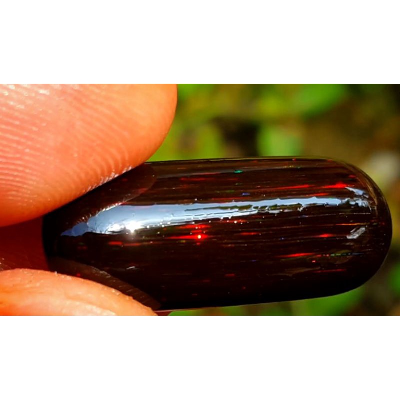 BLACK OPAL RUYUNG HQ