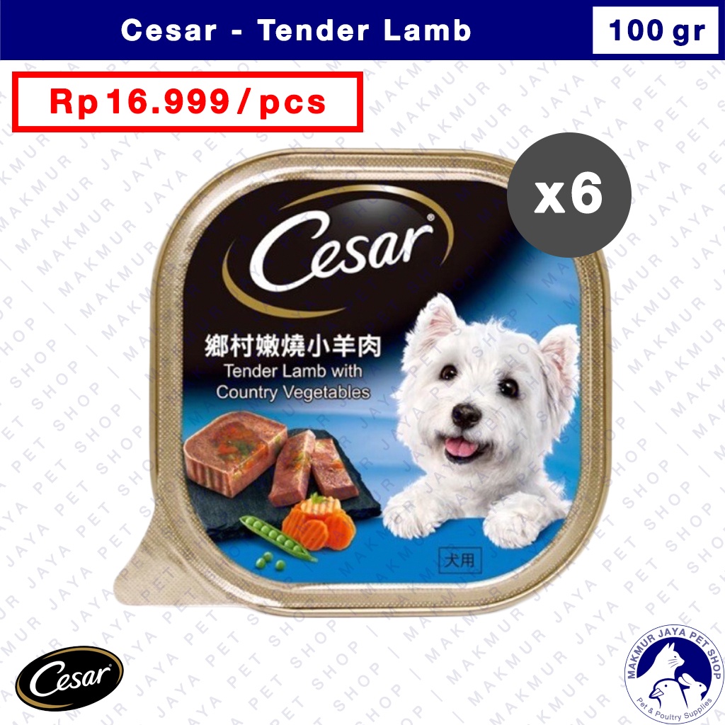 Cesar 100gr Tender Lamb / Wet Dog Food / Makanan Anjing Basah - isi 6