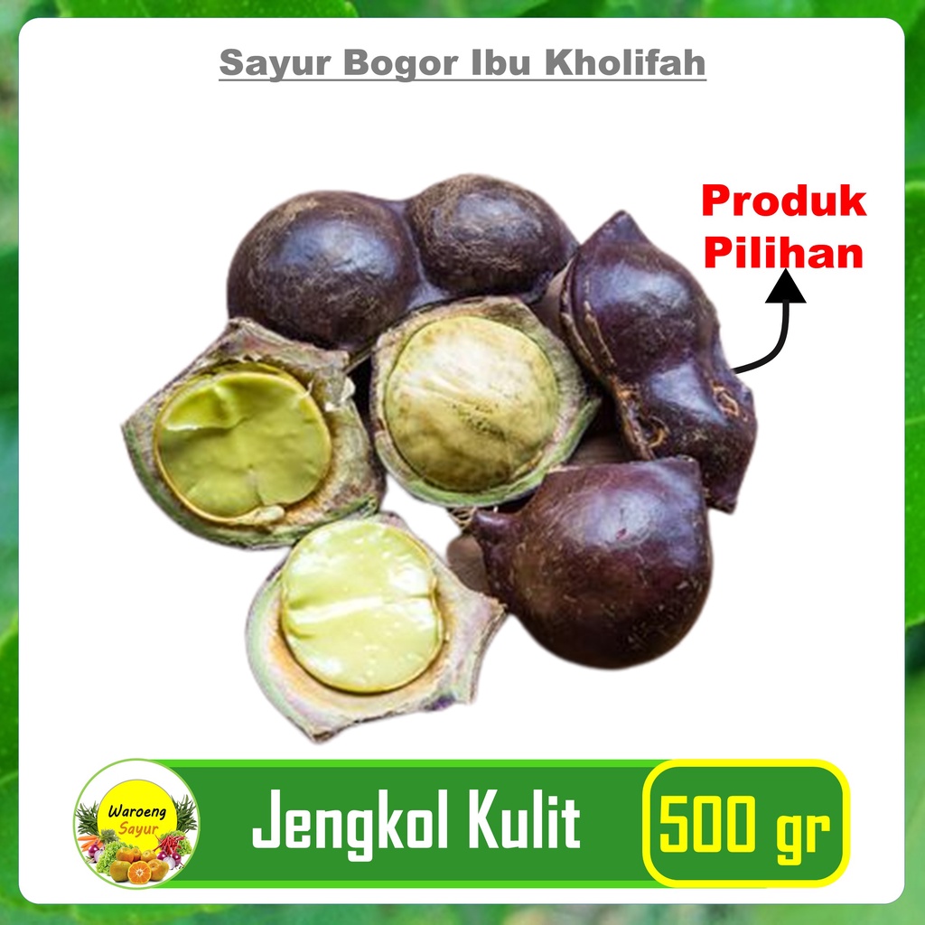 

Jengkol Kulit 500 Gram Makanan Sayur Sayuran Segar Bogor