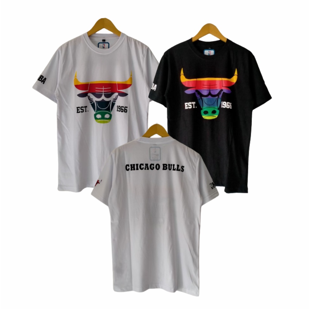 TSHIRT CHICAGO BULLS RAINBOW