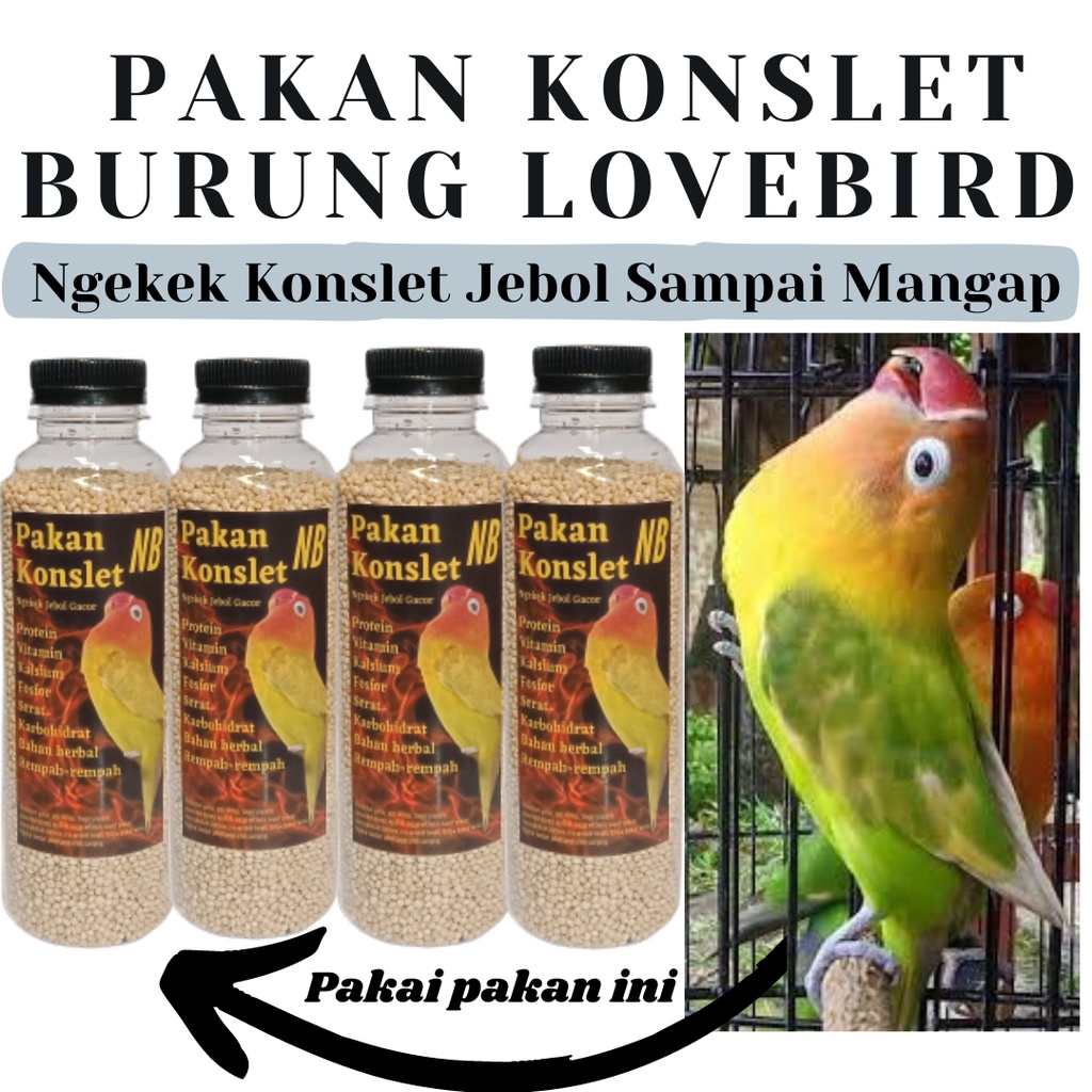 Pakan Konslet Burung Lovebird Pakan Lovebird Konslet Ngekek