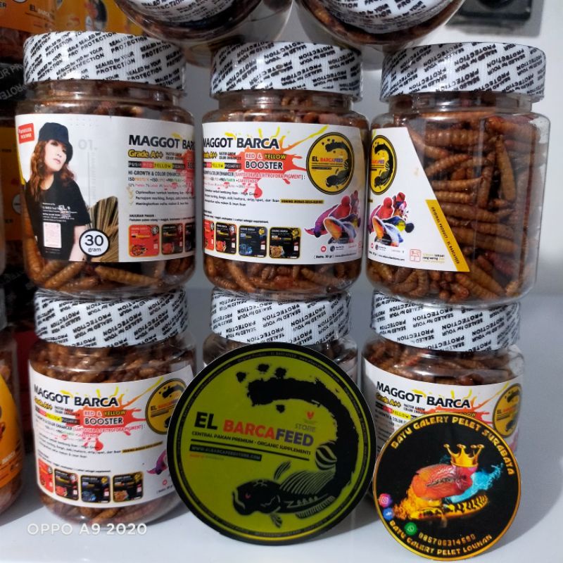 MAGGOT BARCA RED-YELLOW (SUPER GROWTH++) 30gr BUNGA & COLOR BOOSTER - Pakan Ikan