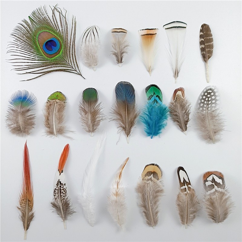 Pheasant Feathers Artificial - Bulu Unggas 4-8cm (10pcs)