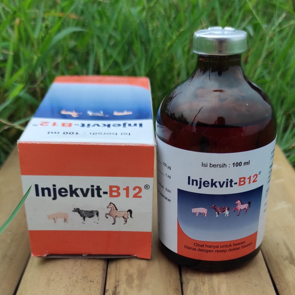 ORI INJEKVIT-B12 INJECTION 100ML MEDION VITAMIN B12 INJEKSI TERNAK