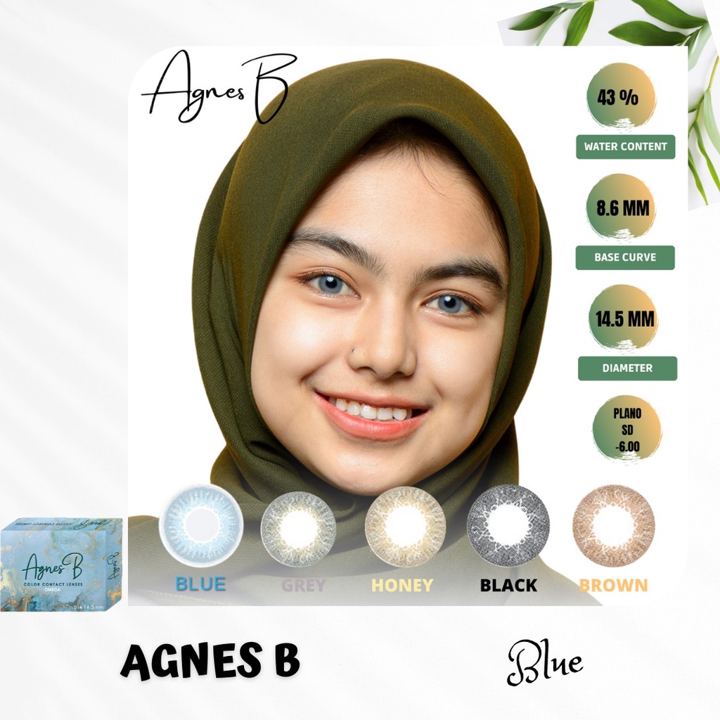 SOFTLENS AGNES B MINUS 0.50 SD 2.00