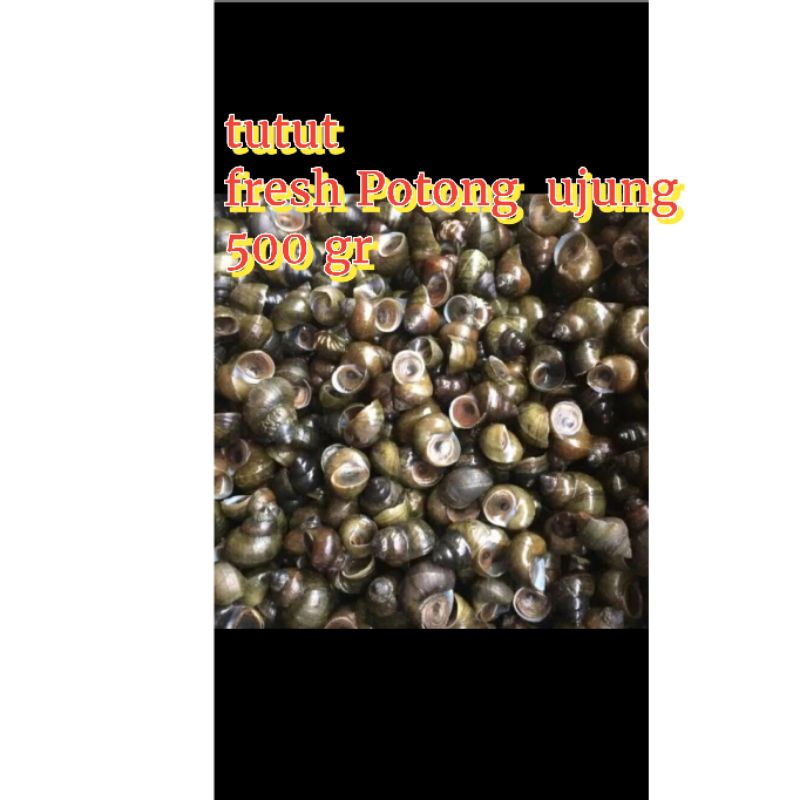 

Tutut Fresh 500 gram Potong Ujung