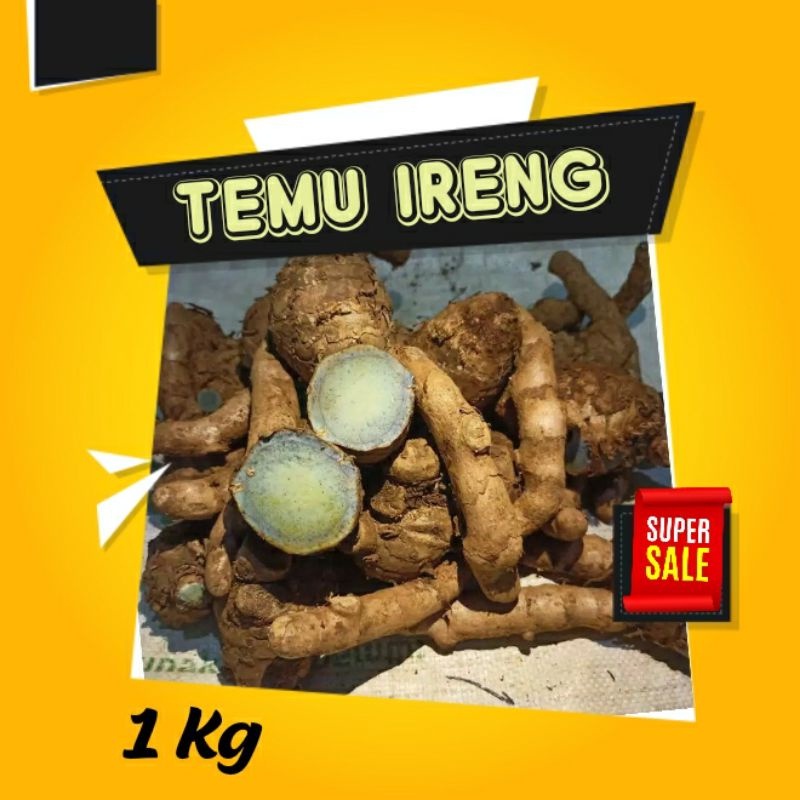 

SEBELUM KEHABISAN TEMU IRENG 1 KG AYUR SEGAR TEMU IRENG