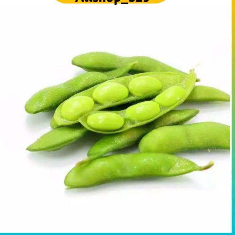 

₲ KEDELAI EDAMAME PREMIUM (500 Gram)/ EDAMAME PREMIUM/KEDELAI JEPANG/KEDELAI FRESH/MAKANAN BUAT DIET ㅝ