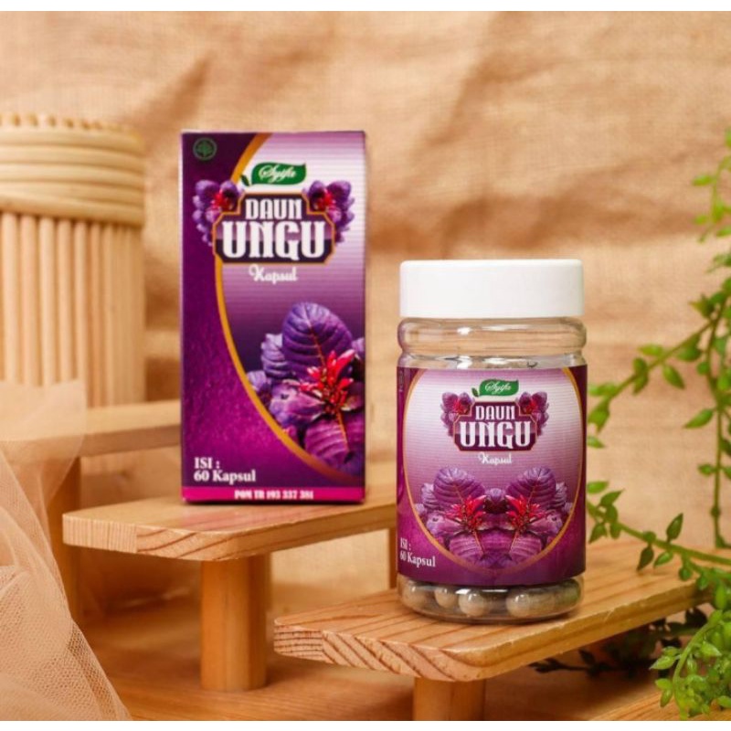 Kapsul Herbal Daun Ungu Obat Ambeien Ekstrak Daun Ungu Premium