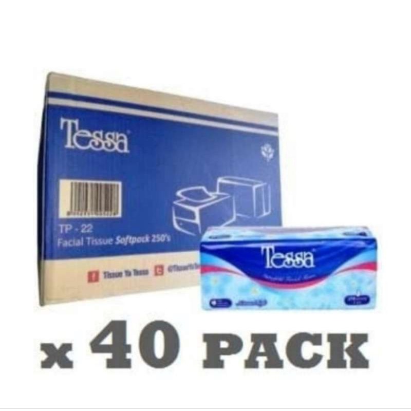 TESSA 250 SHEET ISI 40 PCS (1 KARTON)