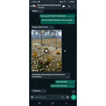 Livvicstore Vitamin Ayam - Obat Ayam Broiler - Suplemen Ayam Pedaging - Vitamin Penggemuk Ayam -