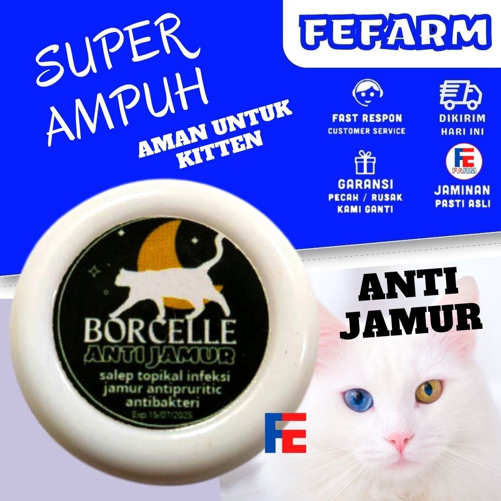 SALEP ANTI JAMUR DAN BAKTERI SUPER AMPUH UNTUK KUCING FEFARM