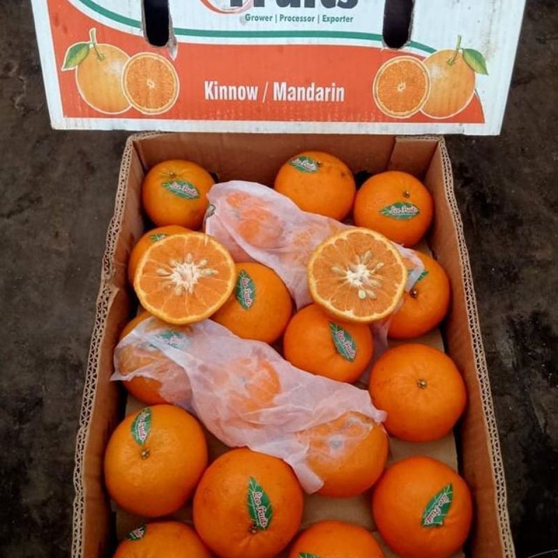 

Jeruk Kino Pakistan 1 Kardus ( 10 - 11 Kg )