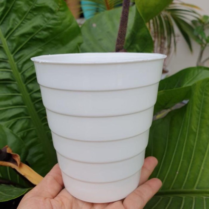 Pot Bunga Jet Cemara 505 Pot Bunga Tinggi Pirus Murah Pot Putih Tinggi