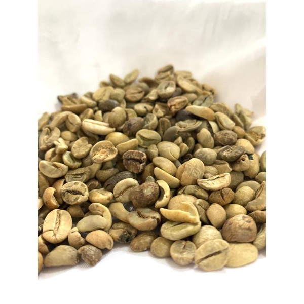 

Green bean Cabutan Full Arabica (Es kopi susu kekinian)