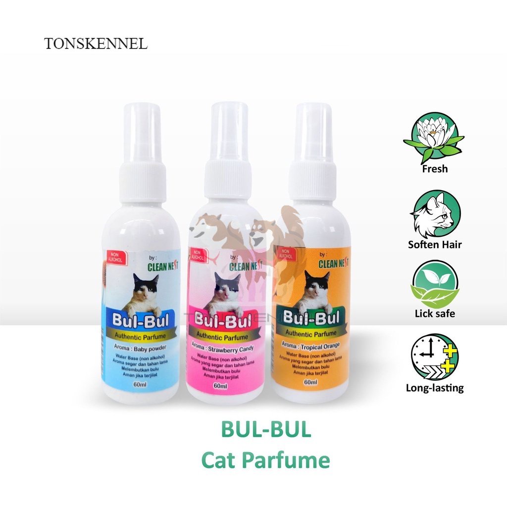 Parfum Kucing BUL BUL Authentic Perfume Aman Terjilat Non Alkohol Wangi Sepanjang Hari 60 ML 60ml