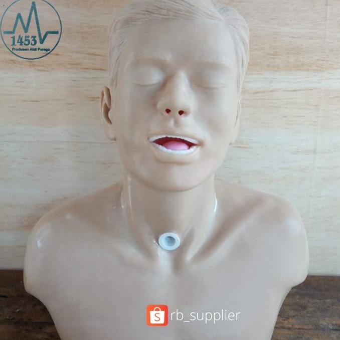 Phantom Manikin Trakeostomi Manekin Trakea - Tracheostomy
