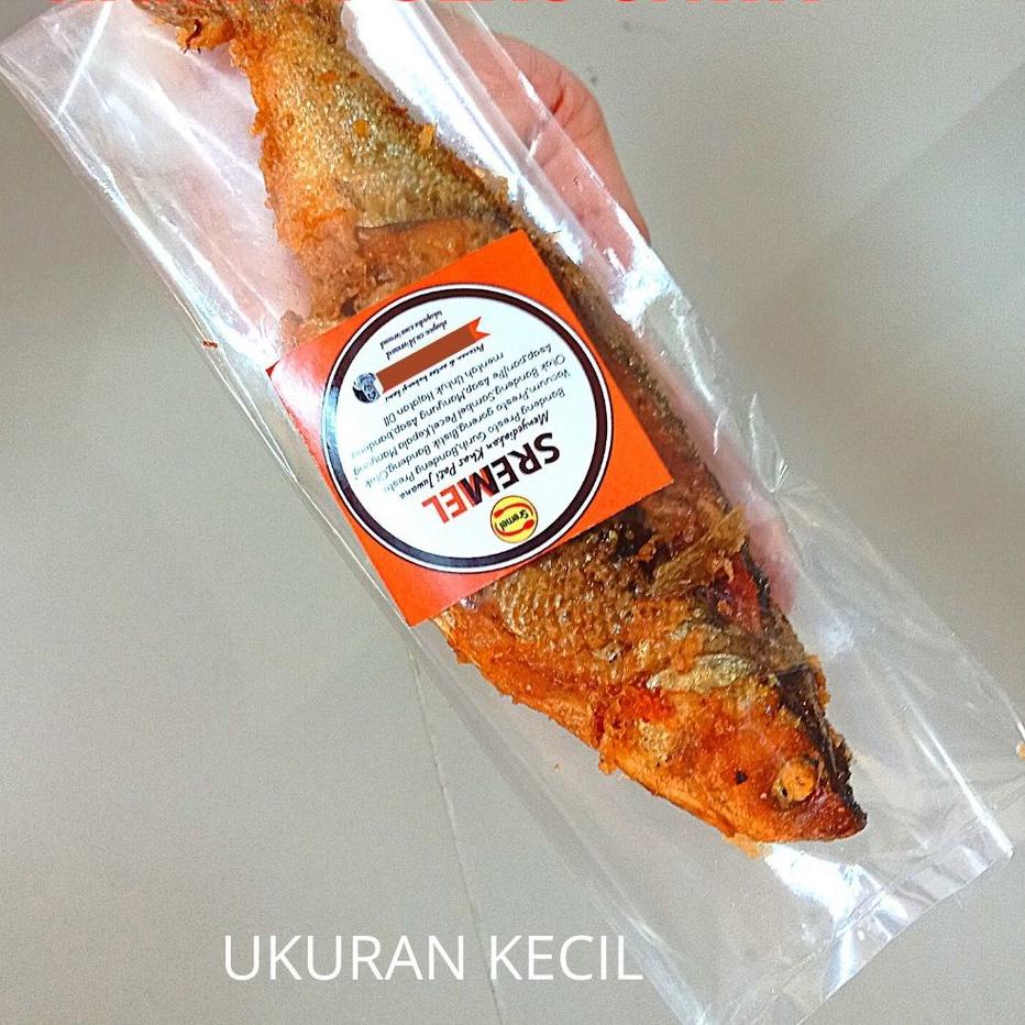 

Bandeng Presto Juwana Isi 1 Goreng