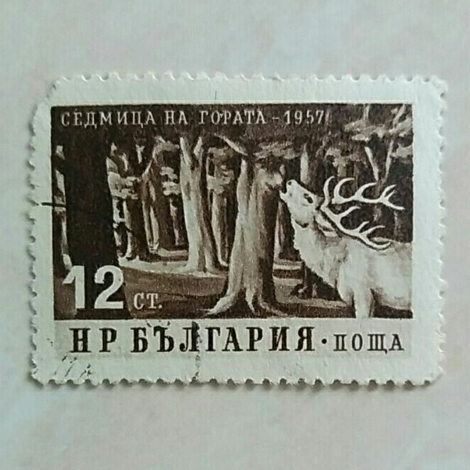 

(AD) Perangko Bulgaria 1957 Forest week - Red Deer (Cervus elaphus) in the forest 12ct Used