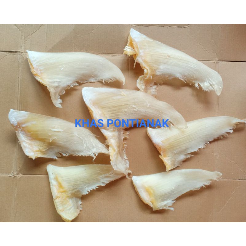 

HECHI / SIRIP IKAN HIU PREMIUM (BESAR) 200g