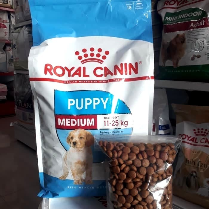 royal canin medium Puppy kemaasan 500 gram rc medium Puppy dog