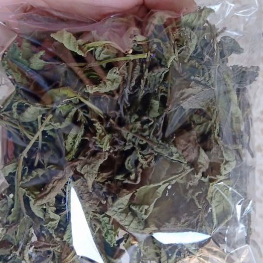 

MURAH JAMU PECUT KUDA KERING 500 GRAM